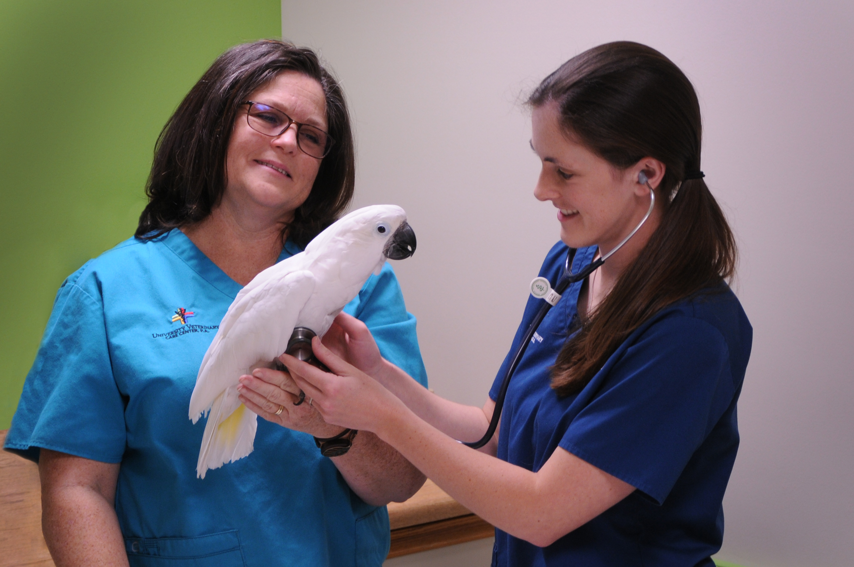 Exotic Animal Vet Near Me / Https Encrypted Tbn0 Gstatic Com Images Q